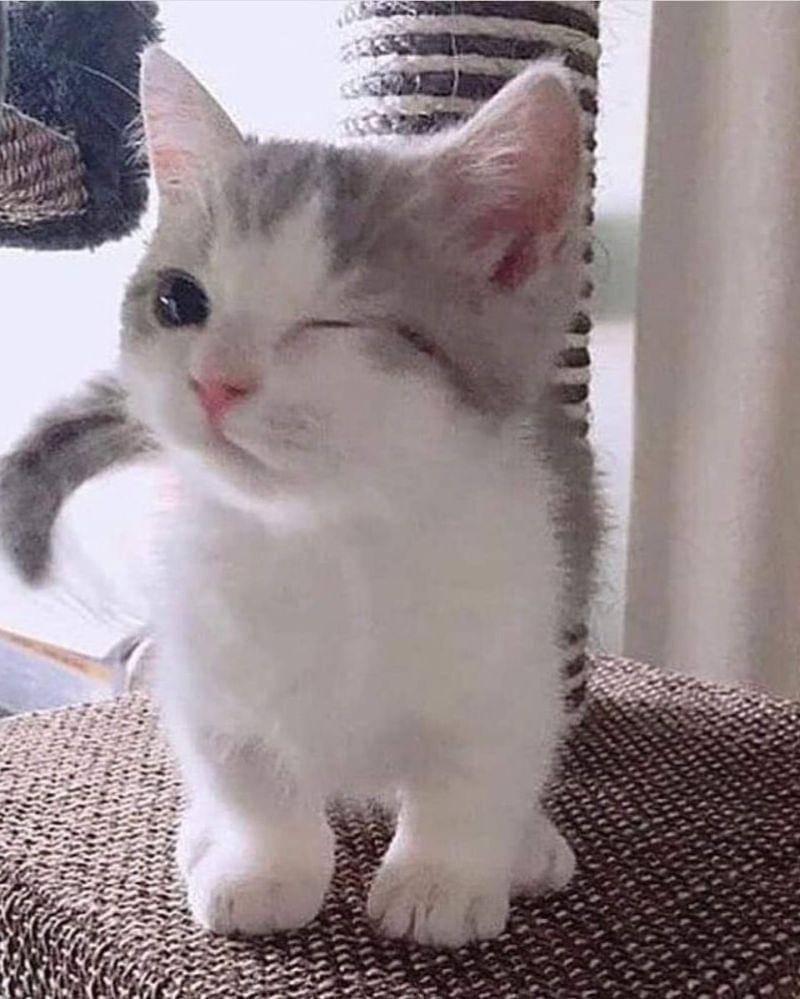 reddit.com/Economy-Risk3869